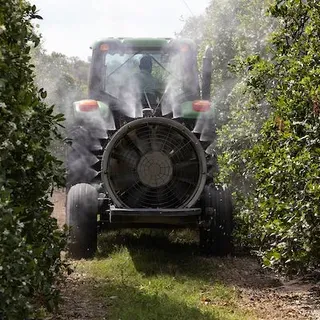 thumbnail for publication: Citrus BMP Implementation in Florida's Gulf Citrus Production Area